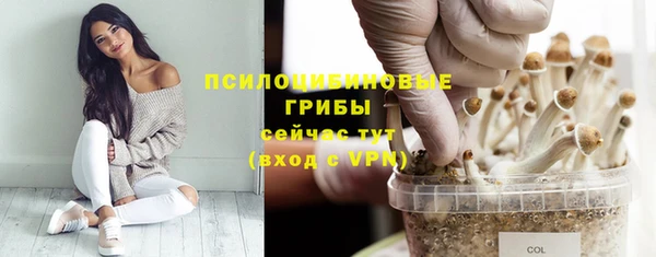 крисы Алексин
